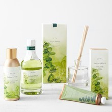 Eucalyptus Collection | Z Gallerie