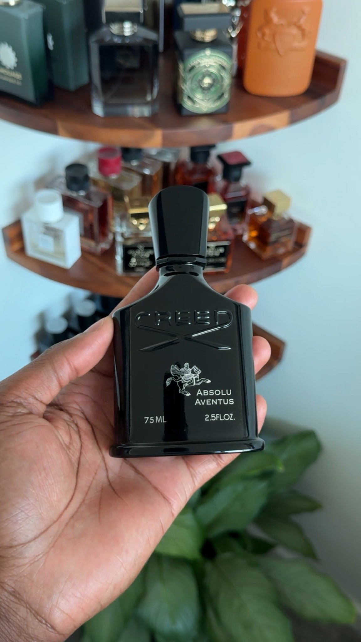 Creed Absolu Aventus

Musky. Woody. Spicy. Fresh.