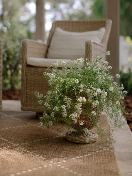 Love this pretty woven planter and how perfectly it matched our woven chairs 

#LTKhome #LTKSeasonal