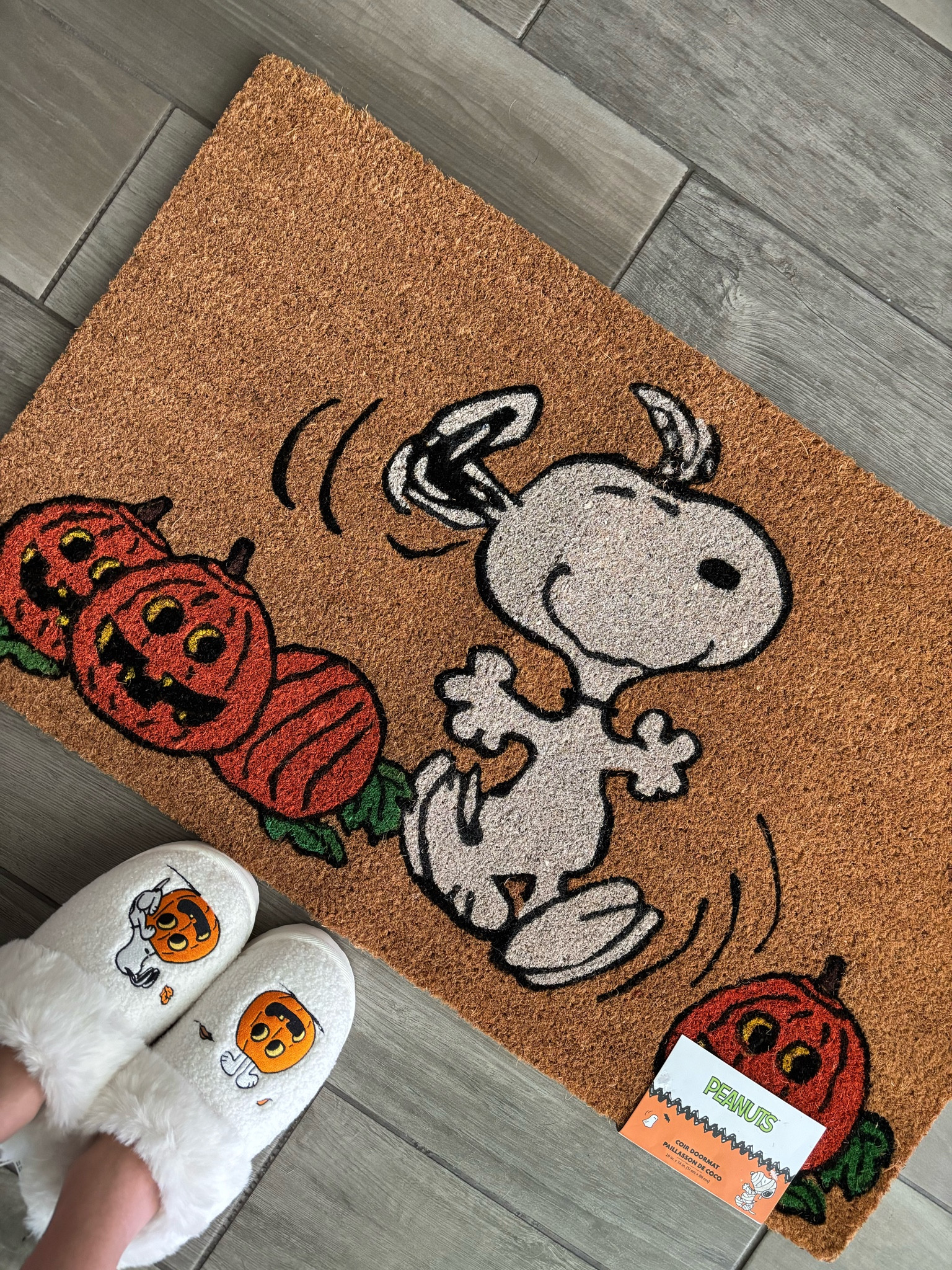 Snoopy Halloween doormat

#LTKSeasonal #LTKfindsunder50 #LTKsalealert