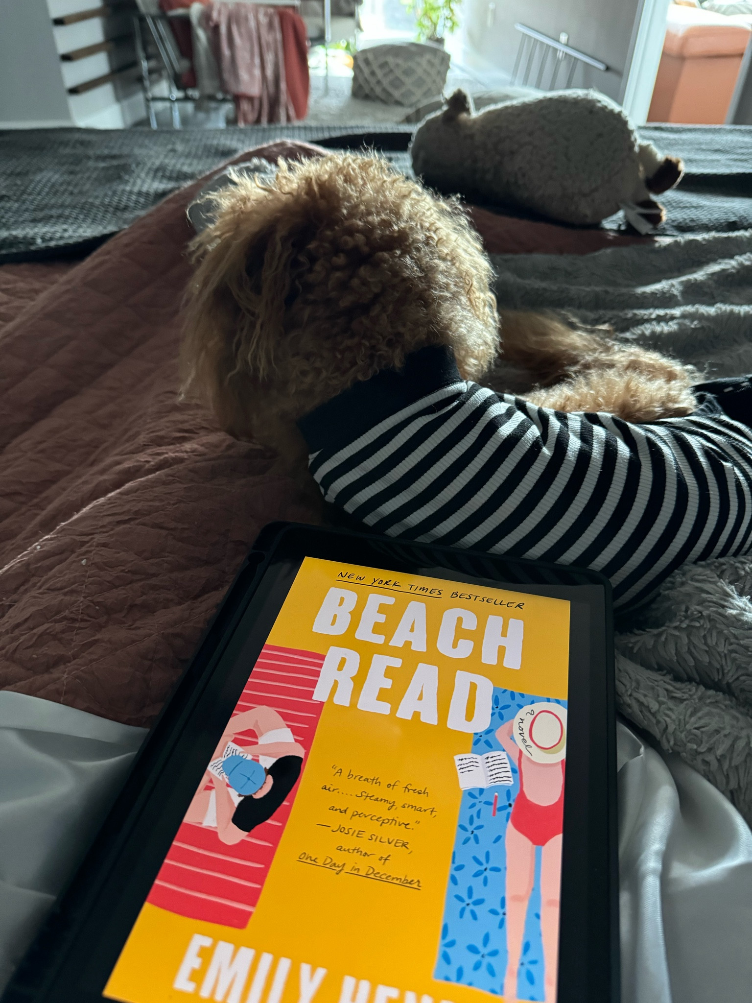 Finished the book Beach Read & liked it very much! It’s an easy fun read. 

#LTKFindsUnder50