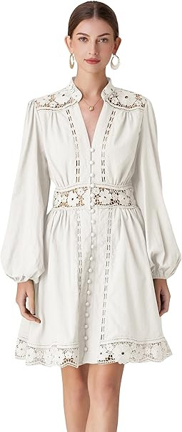 LAI MENG FIVE CATS Women's V-Neck Elegant Lace Long Sleeve Lantern Sleeve Button up Casual Mini D... | Amazon (US)