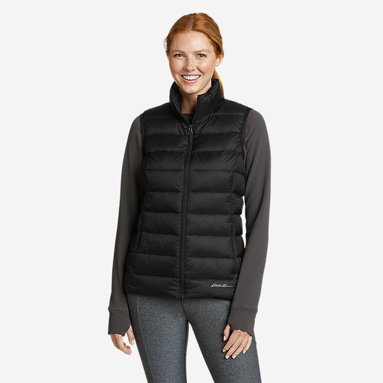 FREE STANDARD SHIPPING | Eddie Bauer, LLC