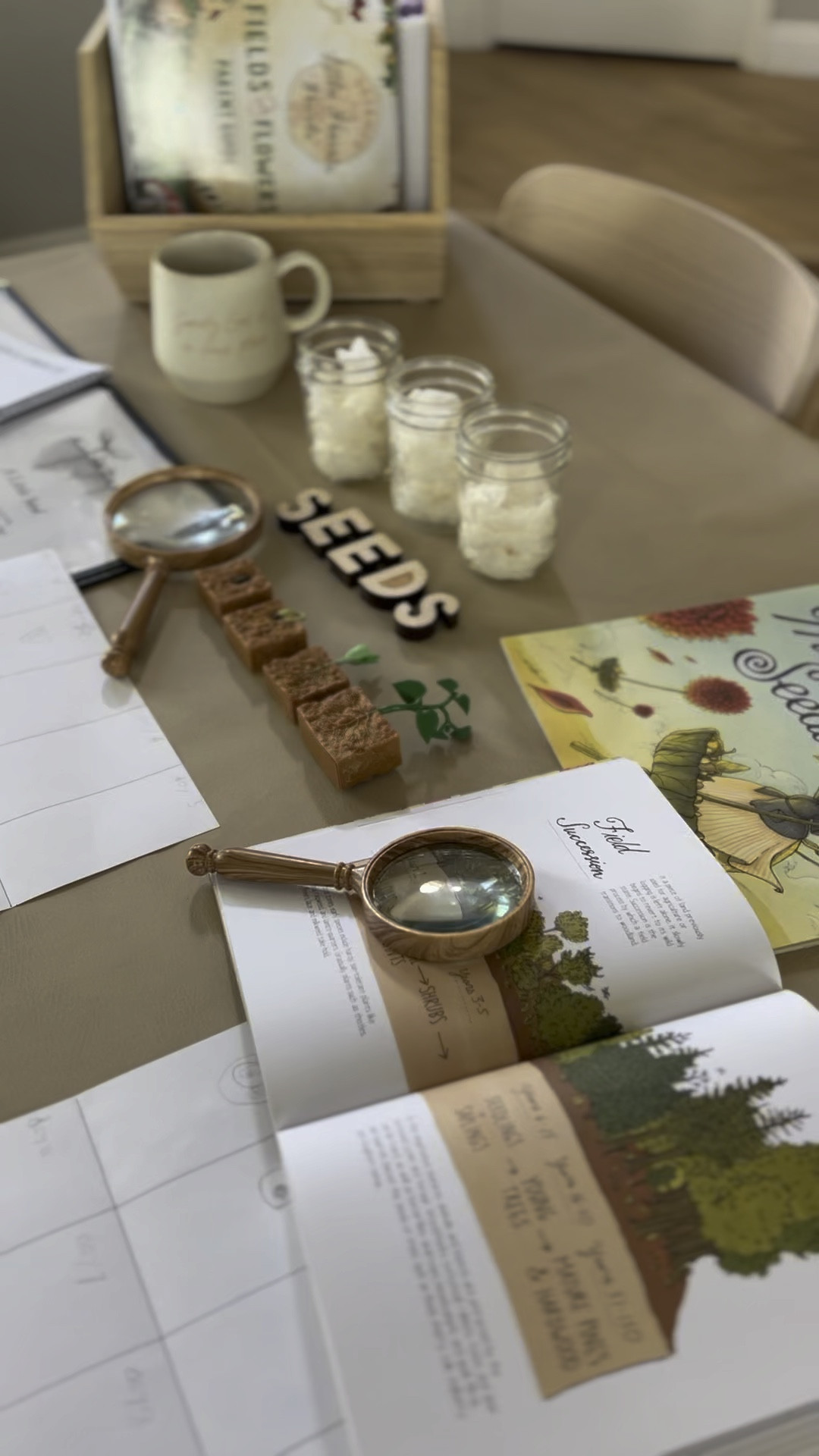 Treehouse Nature Study Week 1 | Seeds & Sprouts 🌱 

#LTKkids #LTKfamily