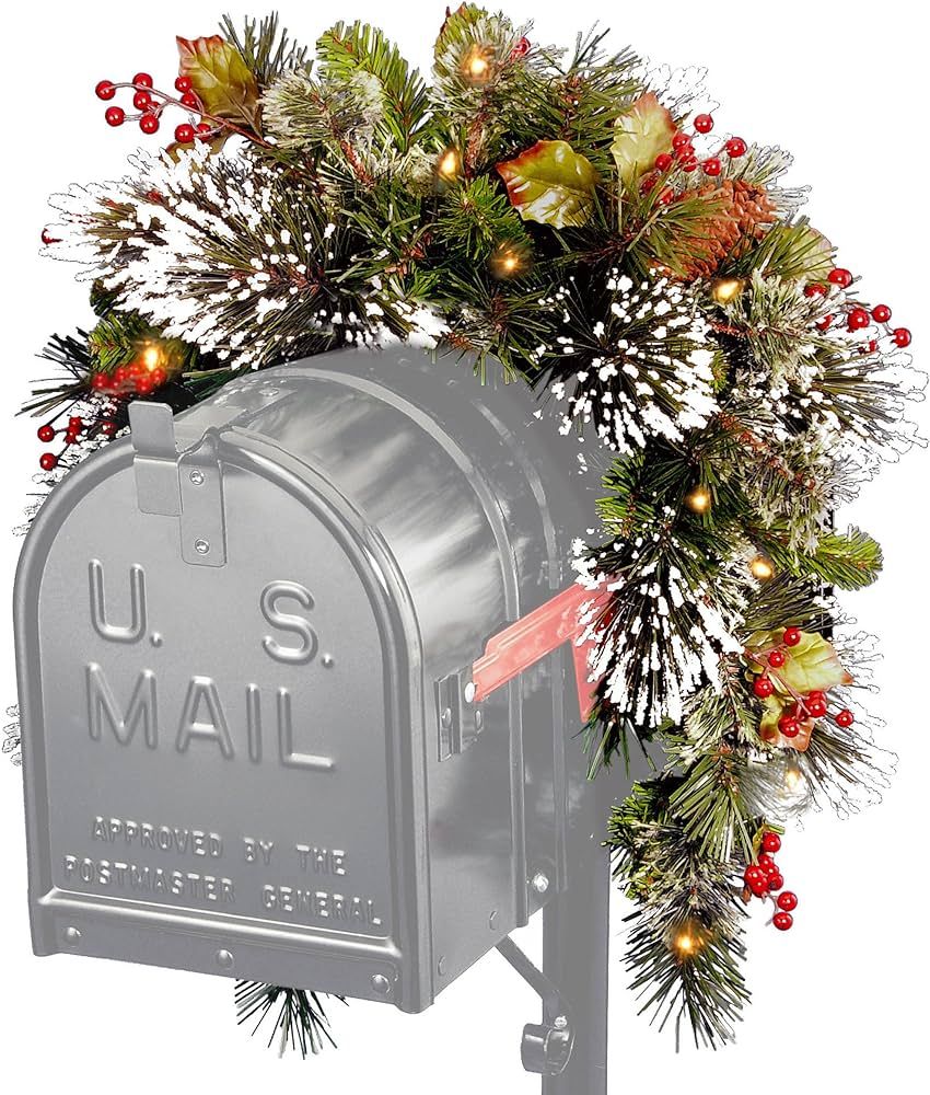 National Tree Wintery Pine Collection Mailbox Swag, 3 ft | Amazon (US)