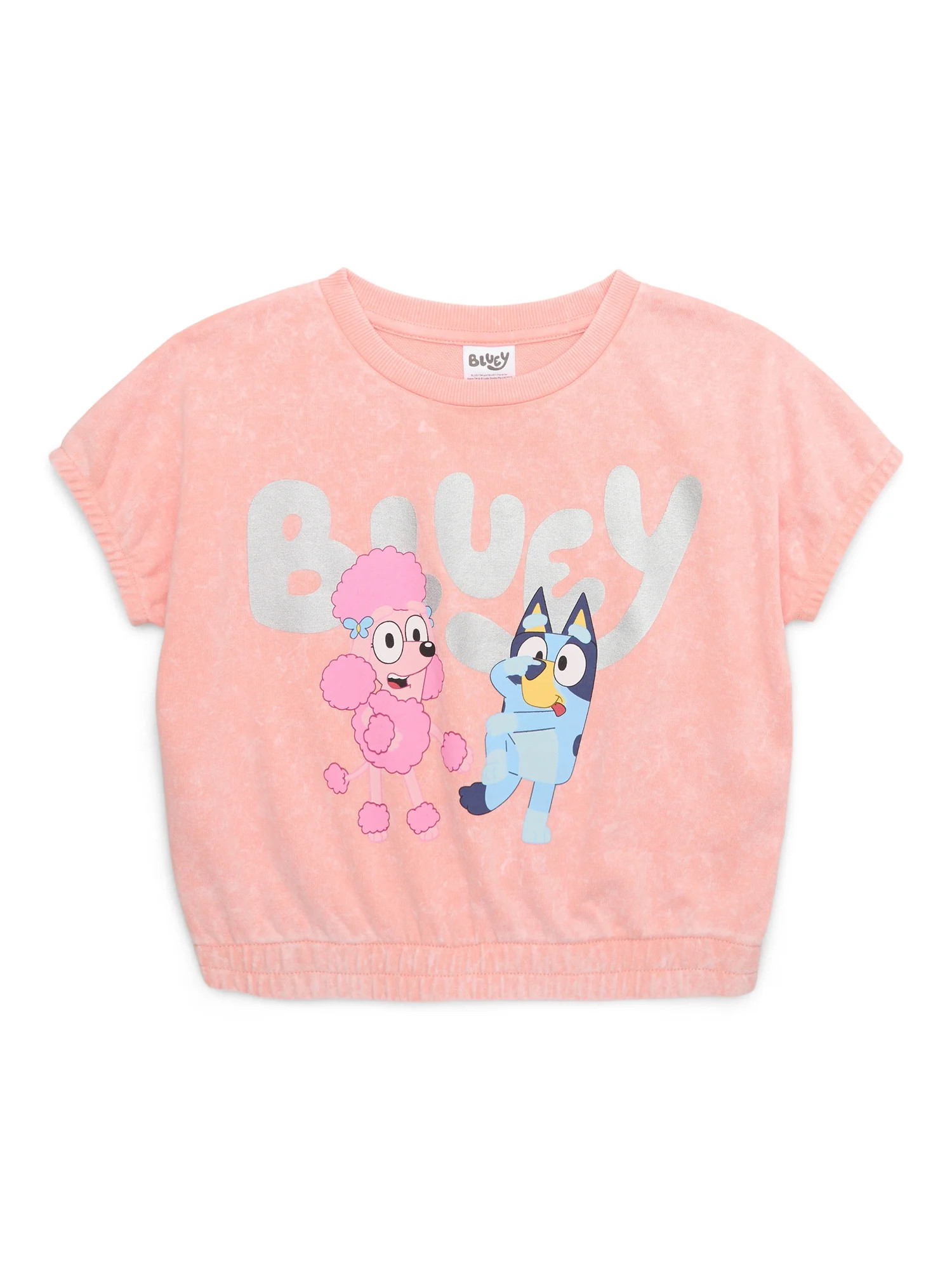 Bluey and Coco Girls Mineral Wash Iridescent Graphic Sweatshirt, Sizes 4-16 | Walmart (US)