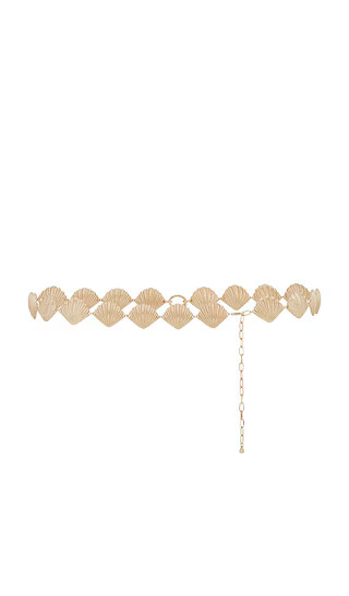 Shell Belly Chain in Gold | Revolve Clothing (Global)