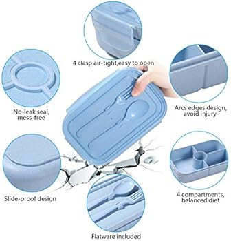 Bento Box for Kids Lunch Containers with 4 Compartments Kids Bento Lunch Box Microwave/Freezer/Di... | Amazon (US)