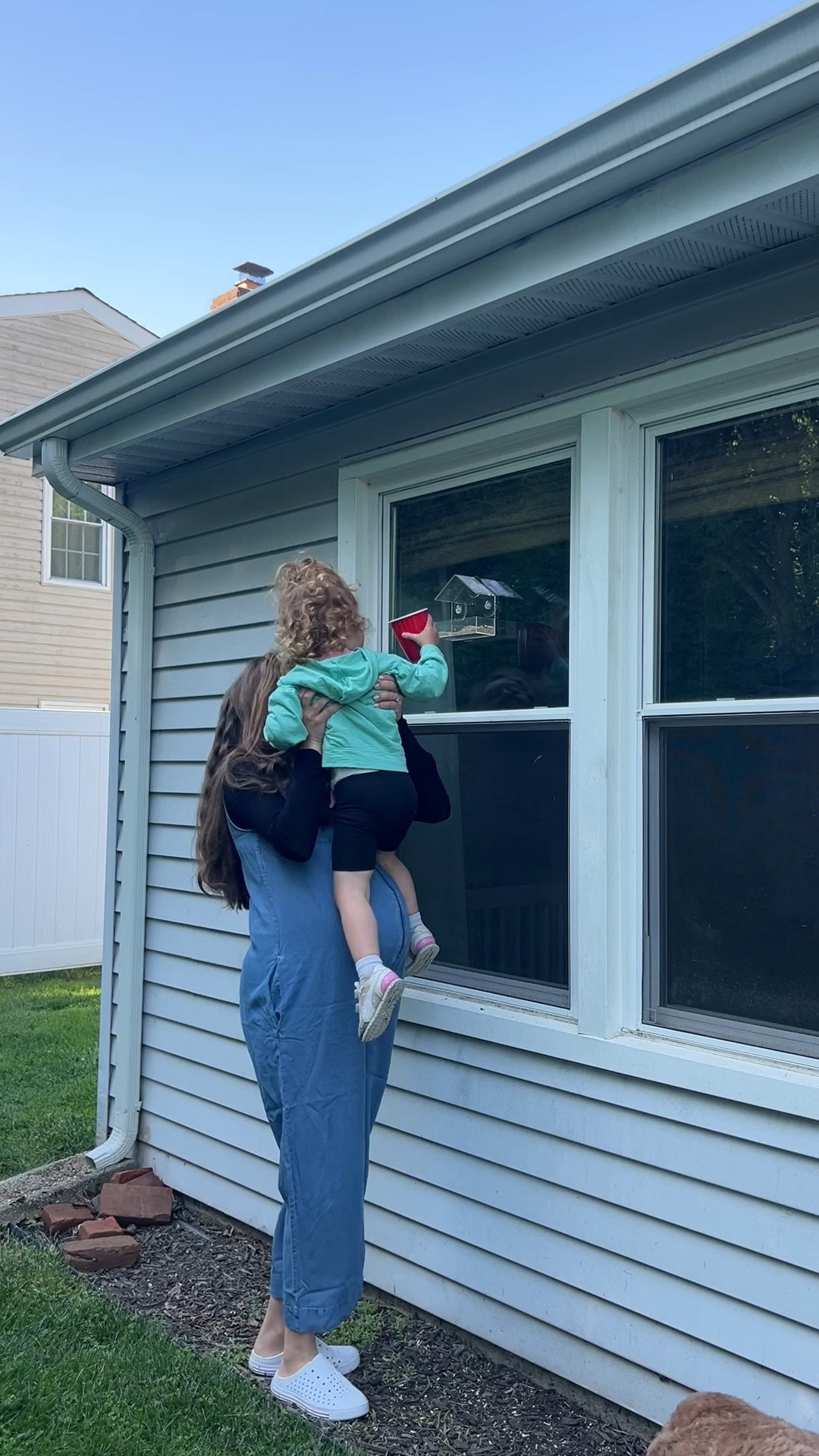 We love this window feeder! 

#LTKKids #LTKHome #LTKFindsUnder50