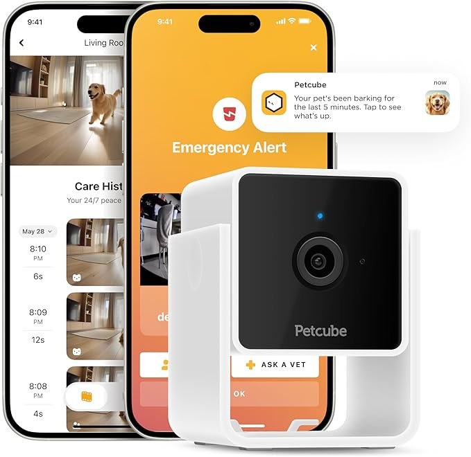 Amazon.com : Petcube Cam Indoor Home Security Camera with 1080p HD Video, Two-Way Audio, Motion D... | Amazon (US)