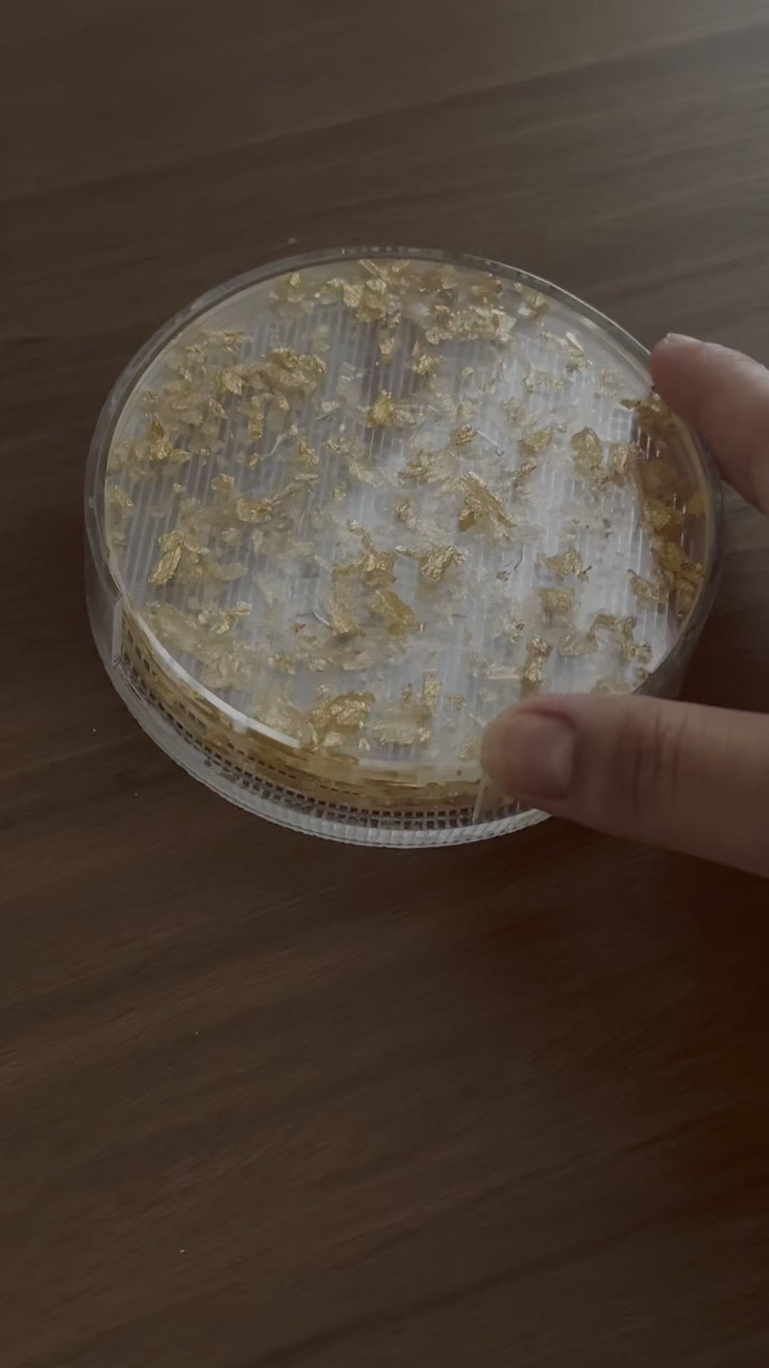 Dica para as donas de casa, comprei esse porta copos maravilhoso na SHEIN e o melhor de tudo é o preço dele, MUITO em conta!
E o copo maravilhoso tem na Camicado🫶🏻

#LTKhome #LTKbrasil