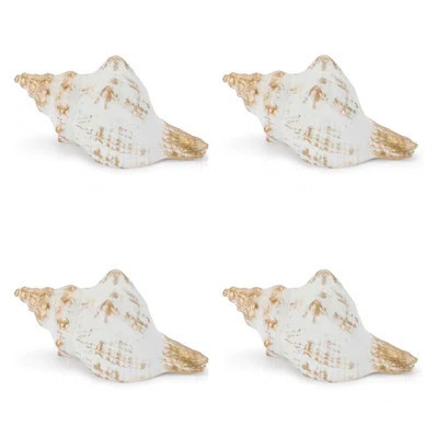 Whitewashed Coastal Seashell Décor (Set of 4) | Wayfair North America
