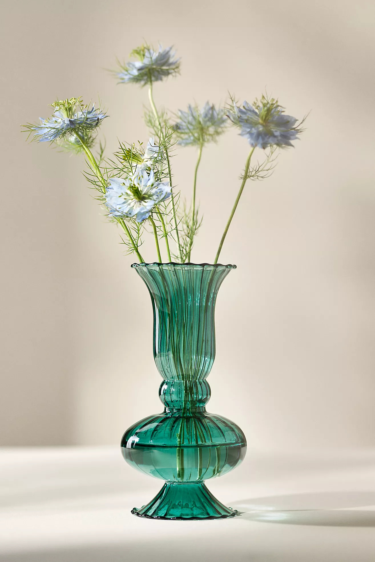 Venini Glass Vase | Anthropologie (US)