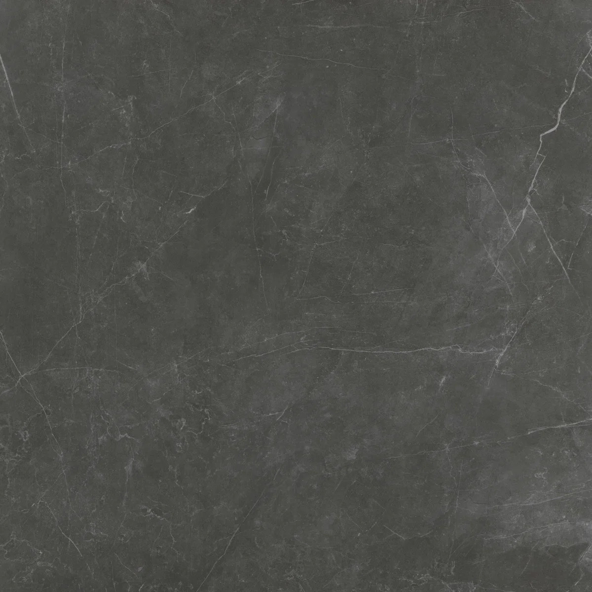 Sterlina II Asphalt 24 in. x 24 in. Matte Porcelain Floor and Wall Tile (15.5 sq. ft./Case) | Wayfair North America