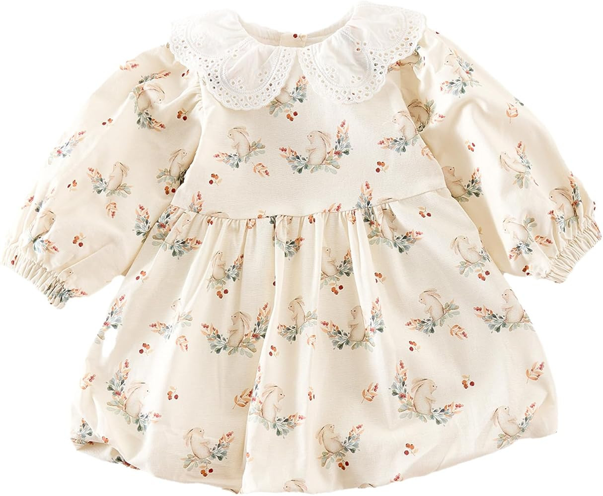 Spring Girls Dress Long Sleeve Princess Dress for Baby Toddler Cute and Stylish Spring Fall Outfi... | Amazon (US)