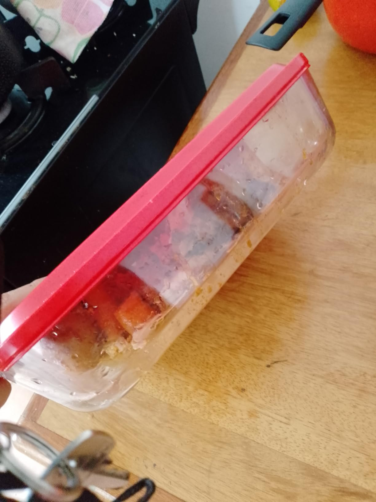 Nadir Figueiredo - Assadeira 5,0L Pratica Retangular Com Tampa Marinex Nadir Gd16538265 | Amazon (BR)