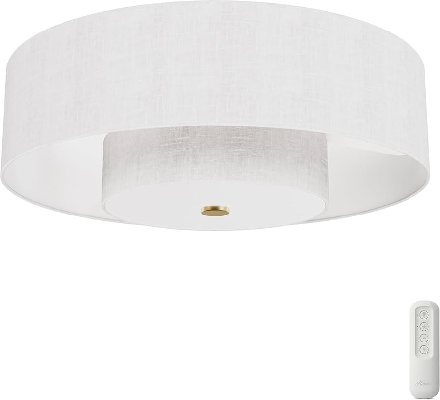 Hunter - Brookside Indoor Fandelier with Light, Remote, 30-inch, Casual-Style, 3-Speed WhisperWin... | Amazon (US)