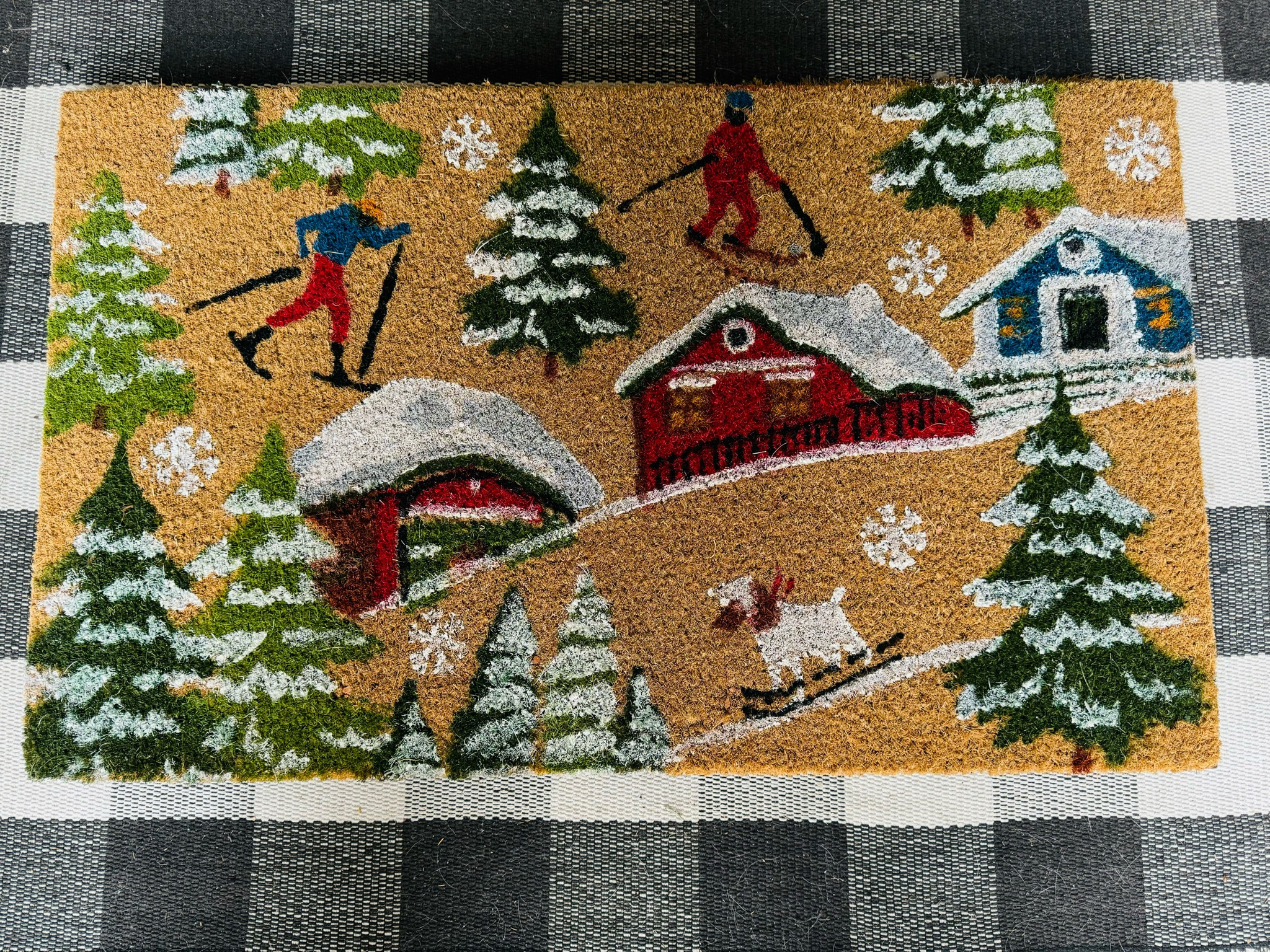 Step into a ski-lodge vibe every time you come home! 🏔️🎿 This adorable ski-themed doormat from Walmart is perfect for Christmas and all winter long. ❄️ Durable, festive, and budget-friendly—your porch deserves this! Shop now on my LTK! 🏡 #WalmartFinds #WinterDecor #LTKHoliday

#LTKSeasonal #LTKHoliday #LTKHome