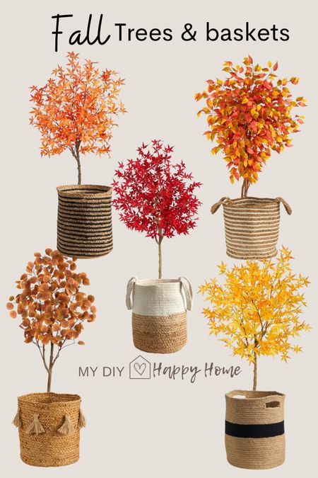 Fall faux trees and baskets - perfect for indoors or on your porch! 

Use code: FALL for 30% off sitewide 

#LTKSeasonal #LTKhome #LTKSale