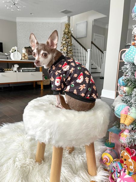The cutest Christmas pet shirt!

Christmas outfit, ugly Christmas sweater, dog clothes 

#LTKHoliday #LTKfamily #LTKSeasonal