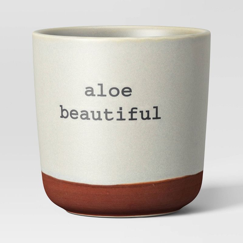 4" Wide Aloe Beautiful Saying Stoneware Outdoor Planter Pot Light Gray - Threshold™ | Target