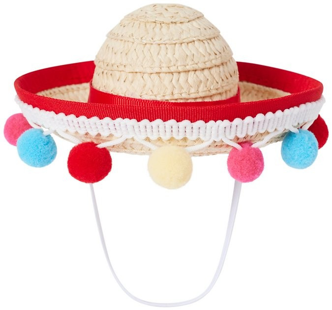 WAGATUDE Sombrero Dog Headpiece, X-Small/Small - Chewy.com | Chewy.com