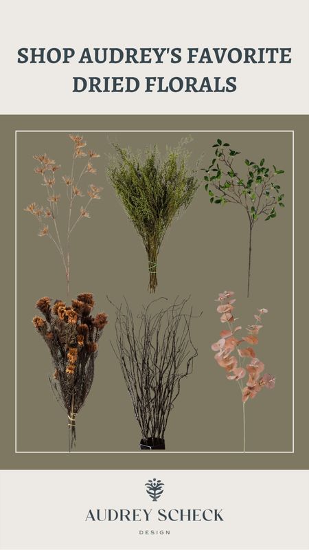 Favorite dried florals 🌿

#LTKhome