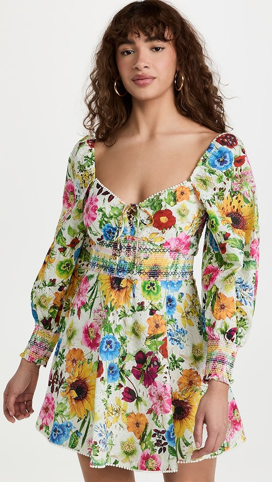 Crawford Smocked Mini Dress | Shopbop