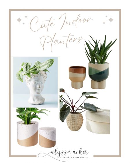 Unique indoor planters! 

Anthro Living 
Amazon Home 

#LTKstyletip #LTKSeasonal #LTKhome