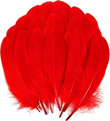 THARAHT 120pcs Red Goose Feathers Natural Bulk 6-8 inch 15-20cm for Crafts DIY Cosplay Wedding Pa... | Amazon (US)
