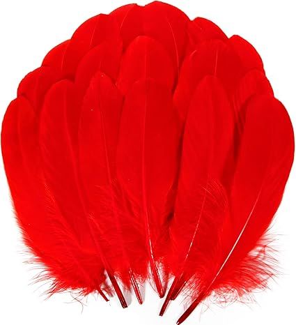 THARAHT 120pcs Red Goose Feathers Natural Bulk 6-8 inch 15-20cm for Crafts DIY Cosplay Wedding Pa... | Amazon (US)