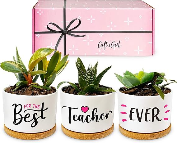 GIFTAGIRL Best Teacher Gifts for Women - Lovely for Christmas, Our Pretty Succulent Pots are Supe... | Amazon (US)