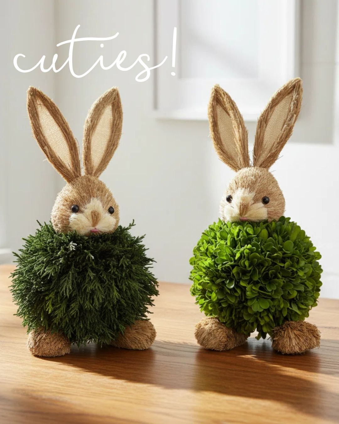 cuties! love these bunny topiaries!  

 #LTKSeasonal #LTKHome