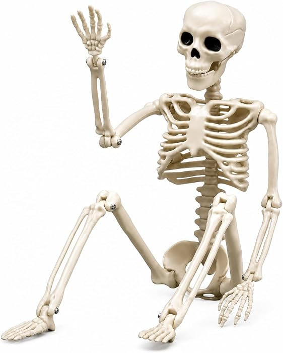 Halloween Skeleton Decorations, 16" Plastic Full Body Posable Skeleton, Small Hanging Skeleton fo... | Amazon (US)