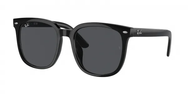 Ray-Ban RB4401D | EZ Contacts