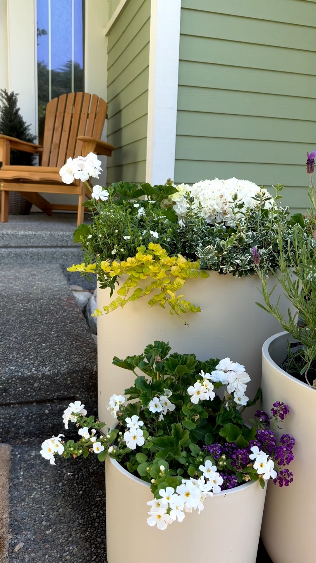 Large planter set 

#LTKHome
