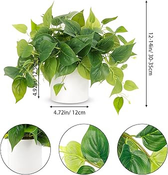 JPSOR Faux Plants Indoor, Pothos Small Fake Plants for Home Decor Indoor Fake Potted Plant Artifi... | Amazon (US)