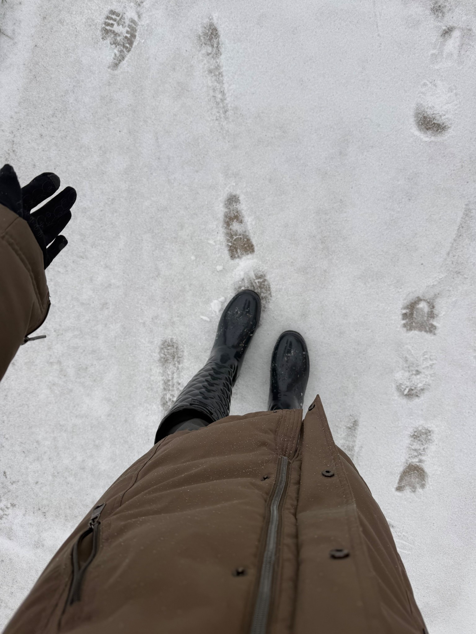 Hunter glossed quilted boots come in shorter or taller   

#LTKPetite