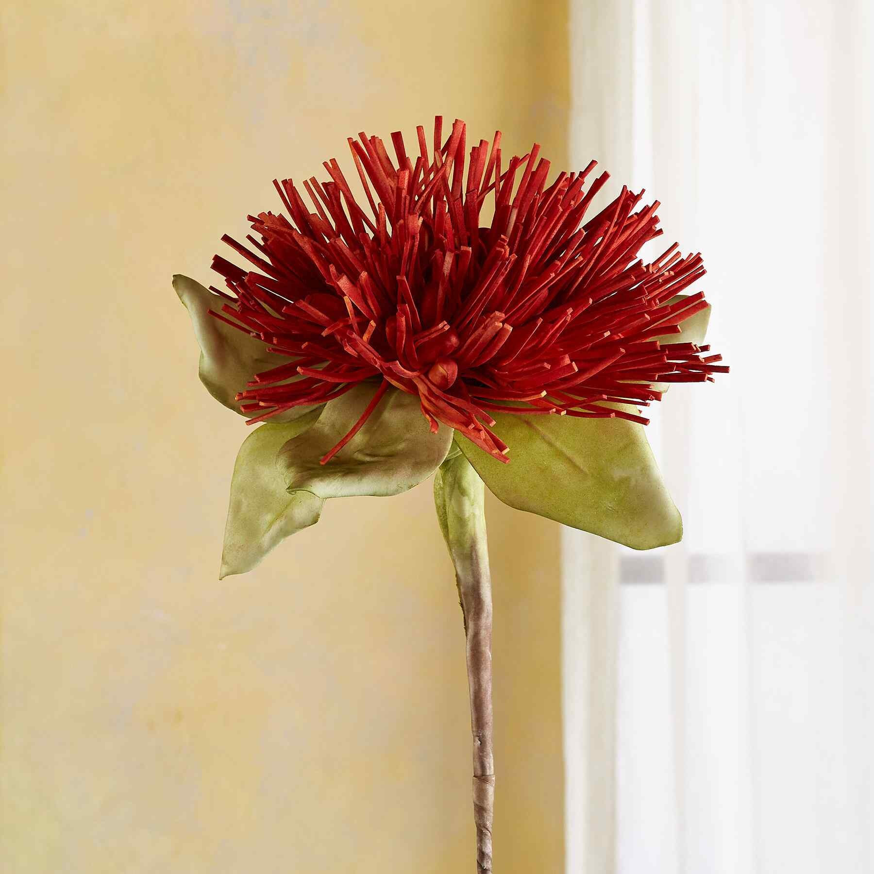 Bountiful Botanicals | Sundance Catalog
