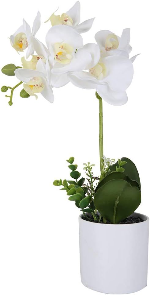 LIVILAN Silk Phalaenopsis Flower Arrangement with Vase, Fake Orchid Flower Lifelike Table Centerp... | Amazon (US)