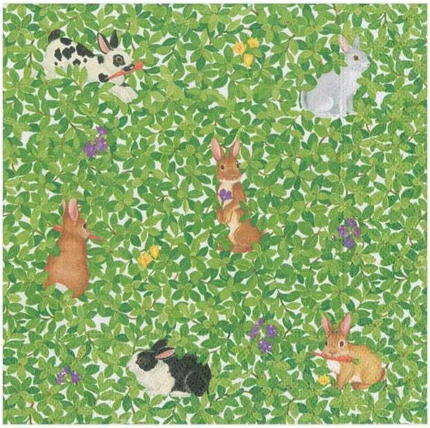 Caspari Bunnies and Boxwood Paper Cocktail Napkins - Two Packs of 20 | Amazon (US)