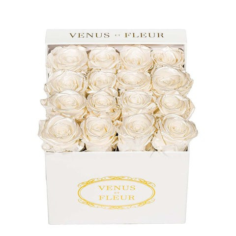 Small Square | Venus ET Fleur