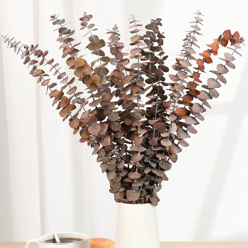 16 tallos de eucalipto secos, ramas de hojas de eucalipto frescas naturales de 17 pulgadas, ramas... | Amazon (US)