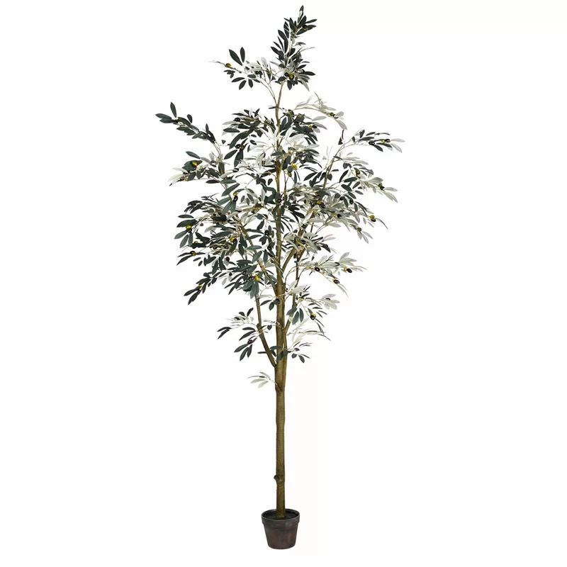 96” Artificial Potted Olive Tree | Wayfair North America
