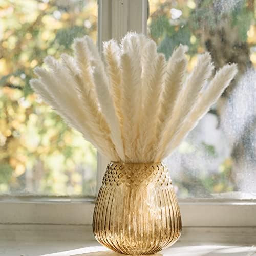 FLORAIR White Pampas Grass Small – 30Pcs Pompous Grass Boho Home Decor Pampa Grass - 17 Inch Sh... | Amazon (US)