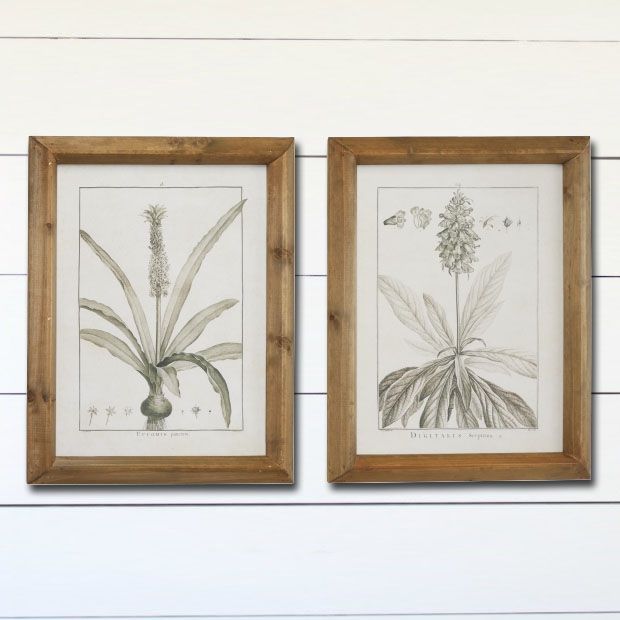 Monochrome Botanical Wall Art Set of 2 | Antique Farm House