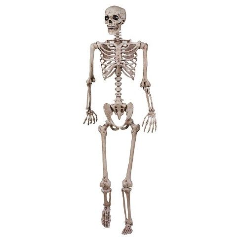 Halloween Skeleton Poseable Decor | Target