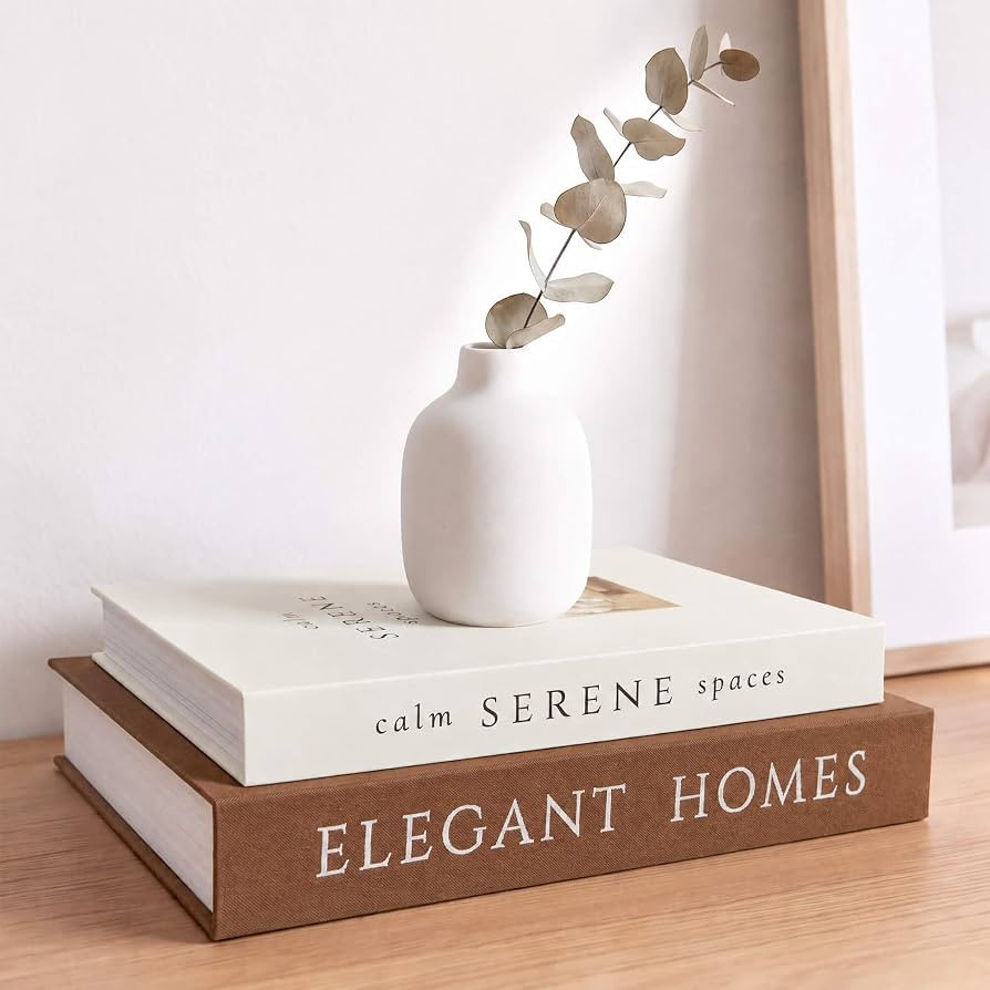 Aesthetic Decorative Books Set of 2 Faux Book for Coffee Table Decor | Amazon (US)