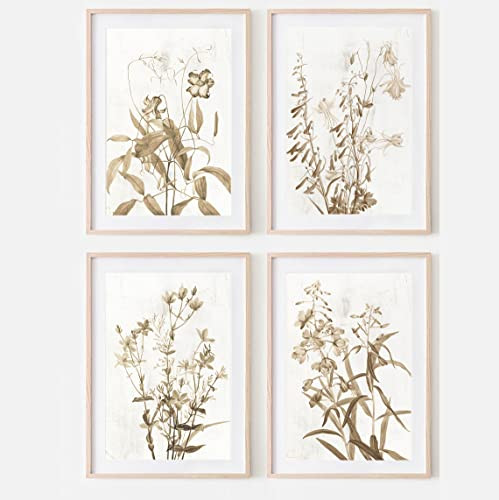 Set of Four Vintage Wildflower Flowers Botanical Study Plant Flora Farmhouse Poster Print Wall Art D | Amazon (US)