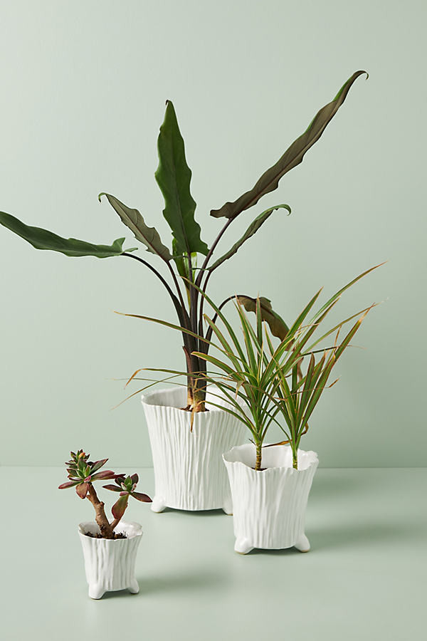 Millie Ceramic Pot | Anthropologie (US)